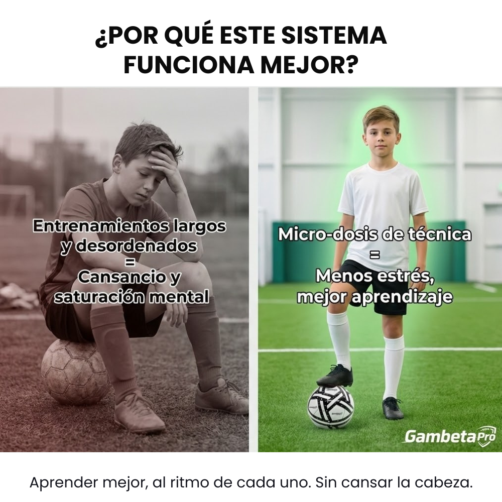 Academia