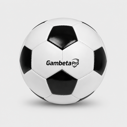 Pelota Oficial