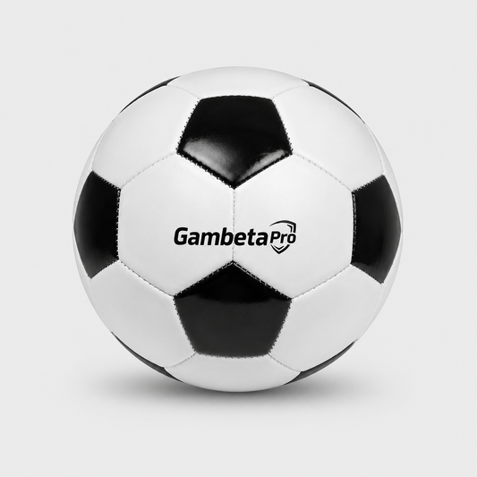 Pelota Oficial