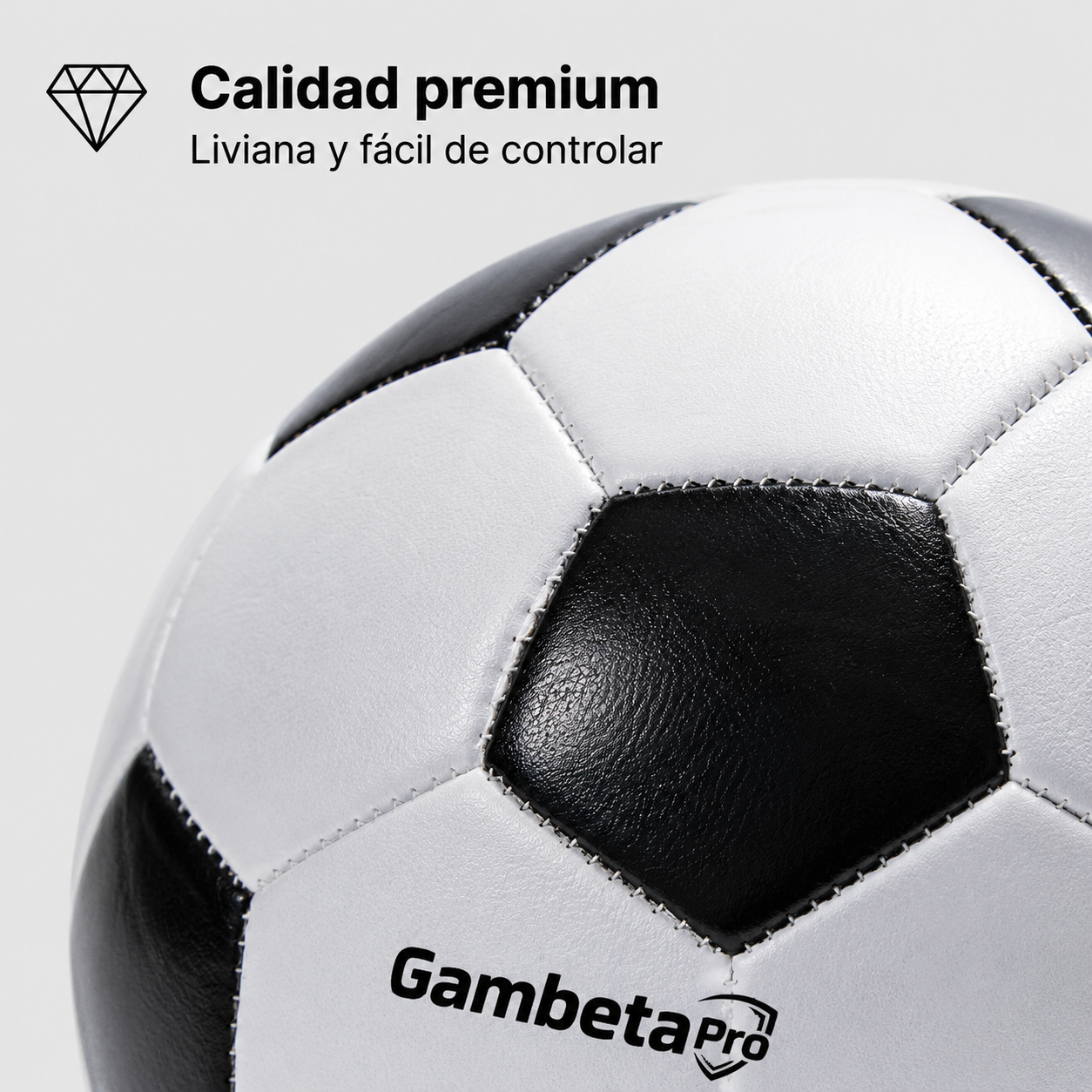 Pelota Oficial