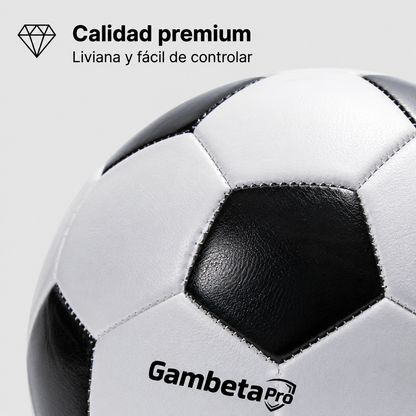 Pelota Oficial