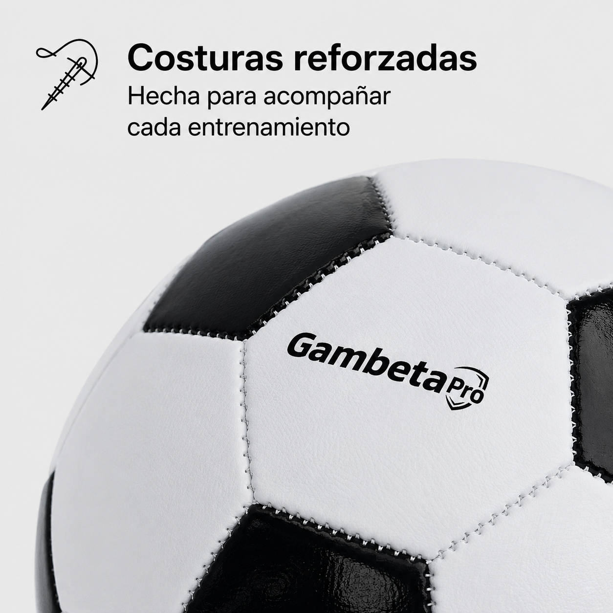 Pelota Oficial