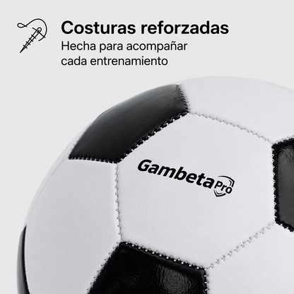 Pelota Oficial