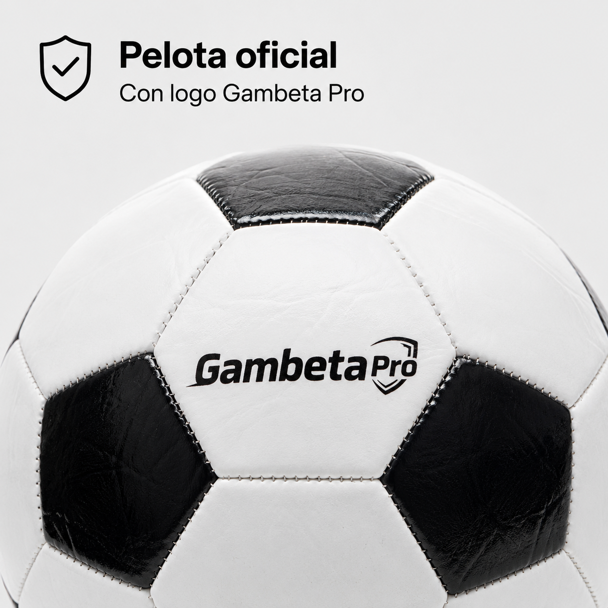 Pelota Oficial