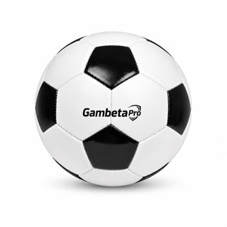 Pelota Oficial